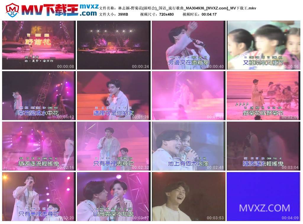 林志颖-野菊花(演唱会)_国语_流行歌曲_MA304936